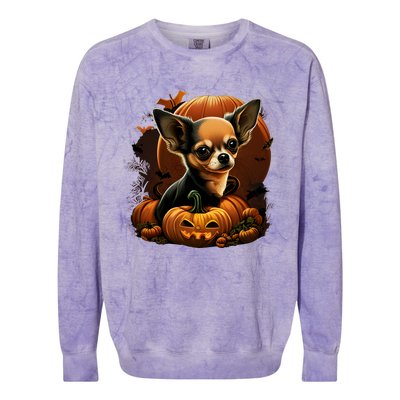 Chihuahua Halloween Costume Scary Pumpkin Witch Ghost Dog Great Gift Colorblast Crewneck Sweatshirt