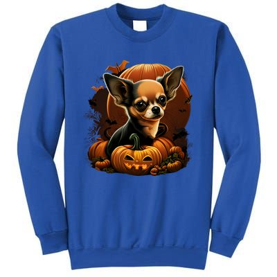 Chihuahua Halloween Costume Scary Pumpkin Witch Ghost Dog Great Gift Sweatshirt