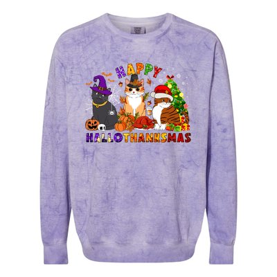 Cat Halloween Christmas Happy Hallothanksmas Thanksgiving Gift Colorblast Crewneck Sweatshirt