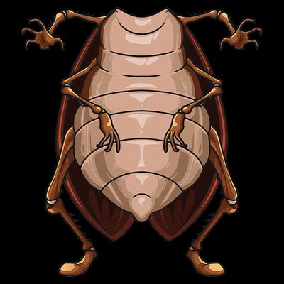 Cool Headless Cockroach Funny Lazy Halloween Costume Gift T-Shirt