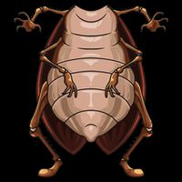 Cool Headless Cockroach Funny Lazy Halloween Costume Gift Backpack