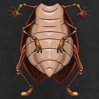 Cool Headless Cockroach Funny Lazy Halloween Costume Gift Golf Towel