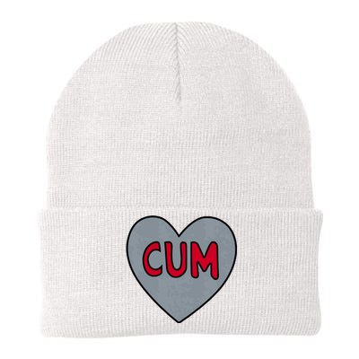 Cum Heart Christian University Michigan Knit Cap Winter Beanie