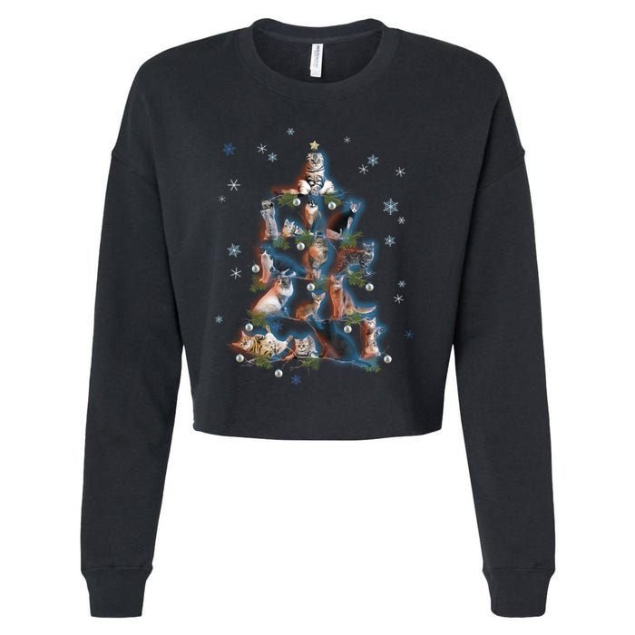 Classic Holiday Cat And Kitten Christmas Ree Cropped Pullover Crew