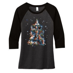 Classic Holiday Cat And Kitten Christmas Ree Women's Tri-Blend 3/4-Sleeve Raglan Shirt