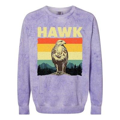 Cute Hawk Design Bird Vintage Hawk Lovers Colorblast Crewneck Sweatshirt