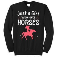 Cute Horse Design For  Horse Riding Equestrian Sweatshirt