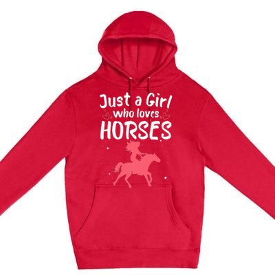 Cute Horse Design For  Horse Riding Equestrian Premium Pullover Hoodie