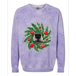 Cute Husky Dog Nose Christmas Wreath Dog Mom Dog Lover Colorblast Crewneck Sweatshirt