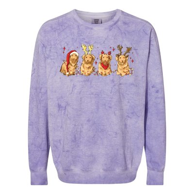 Cute Holiday Dog Graphic Colorblast Crewneck Sweatshirt