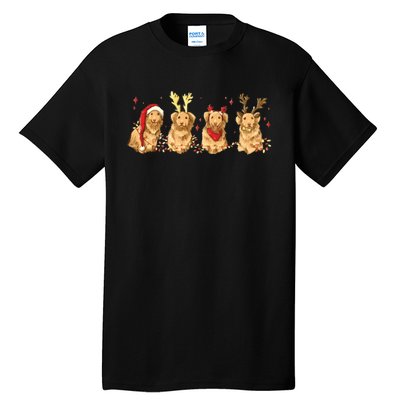 Cute Holiday Dog Graphic Tall T-Shirt