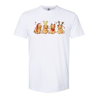 Cute Holiday Dog Graphic Softstyle CVC T-Shirt