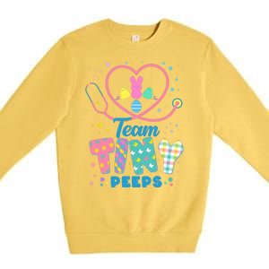 Cute Happy Easter Team Tiny Peeps Nurse Doctor Stethoscope Premium Crewneck Sweatshirt