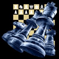 Chess Pieces Sustainable Bucket Hat