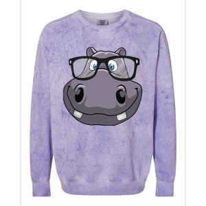 Cool Hippo For Reading Hippopotamus Zoo Colorblast Crewneck Sweatshirt