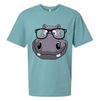Cool Hippo For Reading Hippopotamus Zoo Sueded Cloud Jersey T-Shirt