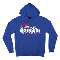 Christmas Holiday Funny Naughty Is The New Nice Gift Hoodie