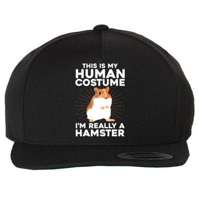 Cool Hamster For Men Women Hamster Lover Animal Costume Wool Snapback Cap