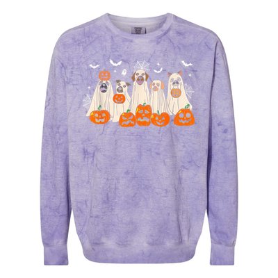 Cute Halloween Ghost Dogs Funny Dog Lovers Women Colorblast Crewneck Sweatshirt