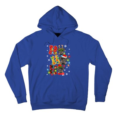 Christmas Ho Ho Ho Cute Schnauzer Dog Xmas Lights Pajama Cute Gift Hoodie