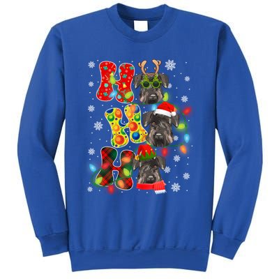 Christmas Ho Ho Ho Cute Schnauzer Dog Xmas Lights Pajama Cute Gift Sweatshirt