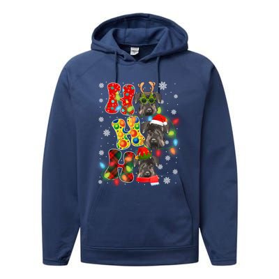 Christmas Ho Ho Ho Cute Schnauzer Dog Xmas Lights Pajama Cute Gift Performance Fleece Hoodie