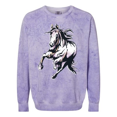 Colored Horse Horseback Riding Great Gift Colorblast Crewneck Sweatshirt