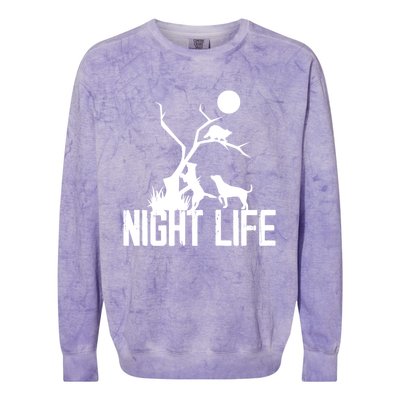 Coon Hound Hunting Night Life Hunting Dog Coon Hunting Funny Gift Colorblast Crewneck Sweatshirt