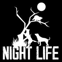 Coon Hound Hunting Night Life Hunting Dog Coon Hunting Funny Gift Wool Snapback Cap