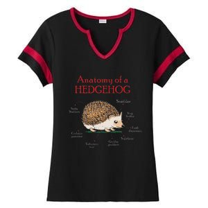 Cute Hedge Hog Animal Anatomy Hedgehog Memes Pet Lover Gift Ladies Halftime Notch Neck Tee