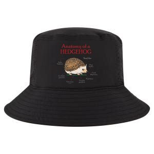 Cute Hedge Hog Animal Anatomy Hedgehog Memes Pet Lover Gift Cool Comfort Performance Bucket Hat