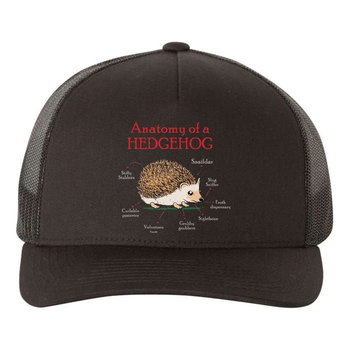 Cute Hedge Hog Animal Anatomy Hedgehog Memes Pet Lover Gift Yupoong Adult 5-Panel Trucker Hat