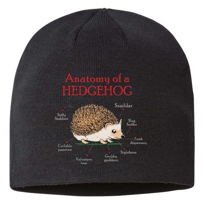 Cute Hedge Hog Animal Anatomy Hedgehog Memes Pet Lover Gift Sustainable Beanie