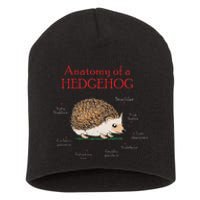 Cute Hedge Hog Animal Anatomy Hedgehog Memes Pet Lover Gift Short Acrylic Beanie