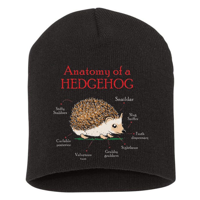 Cute Hedge Hog Animal Anatomy Hedgehog Memes Pet Lover Gift Short Acrylic Beanie