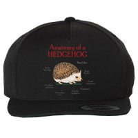 Cute Hedge Hog Animal Anatomy Hedgehog Memes Pet Lover Gift Wool Snapback Cap