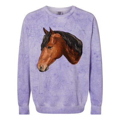 Cute Horse Head Colorblast Crewneck Sweatshirt