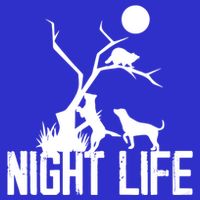 Coon Hound Hunting Night Life Hunting Dog Coon Hunting Gift Womens Tank Top