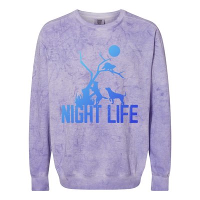 Coon Hound Hunting Night Life Hunting Dog Coon Hunting Gift Colorblast Crewneck Sweatshirt