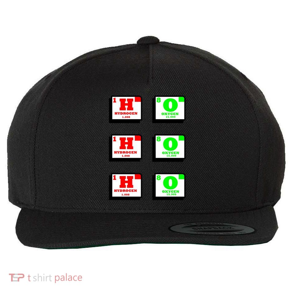 Christmas Ho Ho Ho Funny For Science Teacher Wool Snapback Cap