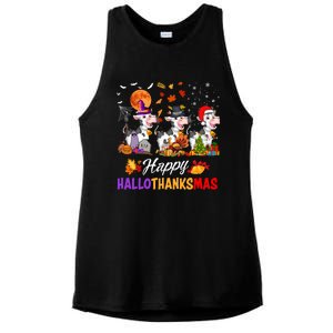 Cow Happy Hallothanksmas Funny Halloween Thanksgiving Farmer Gift Ladies PosiCharge Tri-Blend Wicking Tank