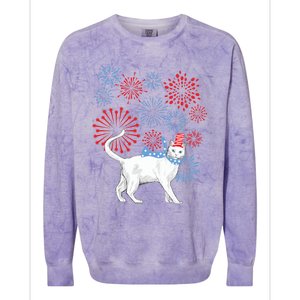 Cat Happy Independence Day Fireworks Memorial Day Gift Colorblast Crewneck Sweatshirt