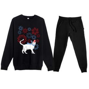 Cat Happy Independence Day Fireworks Memorial Day Gift Premium Crewneck Sweatsuit Set