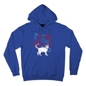 Cat Happy Independence Day Fireworks Memorial Day Gift Hoodie