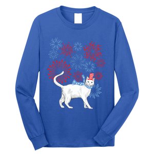 Cat Happy Independence Day Fireworks Memorial Day Gift Long Sleeve Shirt