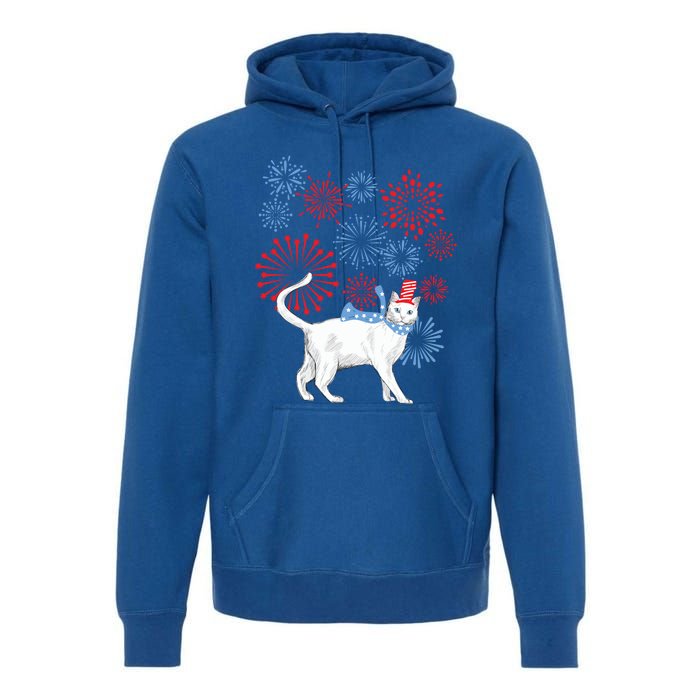 Cat Happy Independence Day Fireworks Memorial Day Gift Premium Hoodie