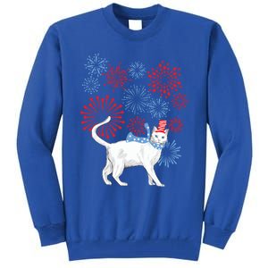 Cat Happy Independence Day Fireworks Memorial Day Gift Tall Sweatshirt