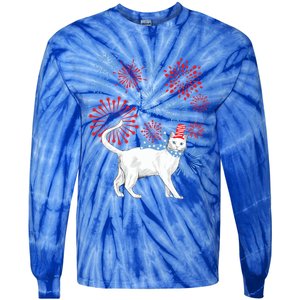 Cat Happy Independence Day Fireworks Memorial Day Gift Tie-Dye Long Sleeve Shirt