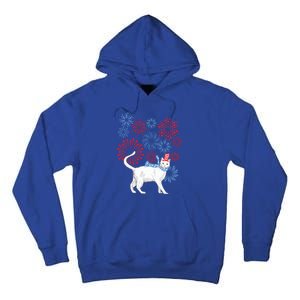 Cat Happy Independence Day Fireworks Memorial Day Gift Tall Hoodie