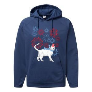 Cat Happy Independence Day Fireworks Memorial Day Gift Performance Fleece Hoodie